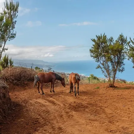 El Pajal House Relax By Interhome Ferienhaus *