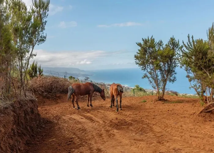 El Pajal House Relax By Interhome Ferienhaus *