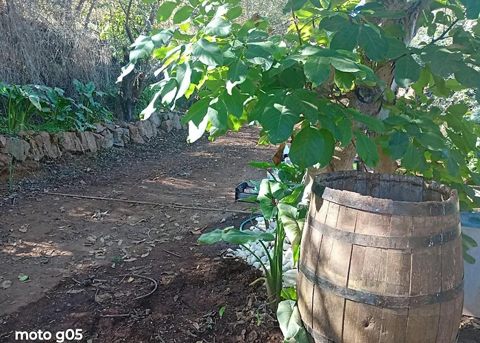 El Pajal House Relax By Interhome *